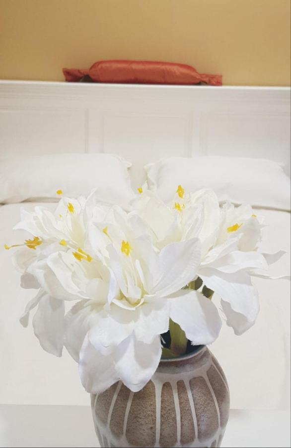 Studio Via Nova Kaloşvar Dış mekan fotoğraf